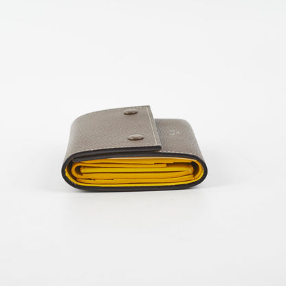 Luxury CELINE Wallet Grey/Yellow
