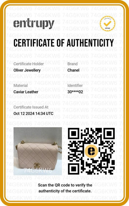 Chanel 2020 Beige Quilted Caviar Leather Small Fashion Therapy Full Flap Bag