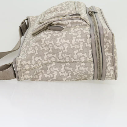Luxury CELINE Salky Pattern Shoulder Bag Ai Tominaga PVC Leather Gray  ac919