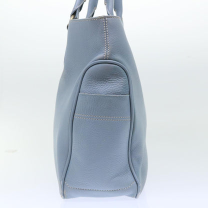 Luxury CELINE Boogie Bag Hand Bag Leather Blue  ar10054B