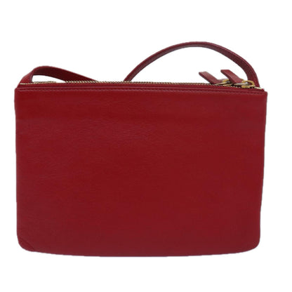 Luxury CELINE Trio Small Shoulder Bag Leather Red  15431