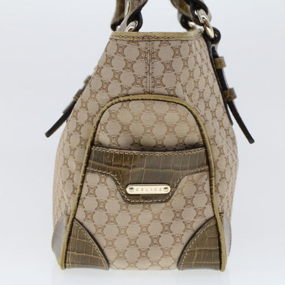 Luxury CELINE Macadam Canvas Boogie Bag Hand Bag Beige WC-ST-0068  5785