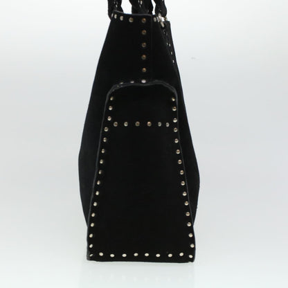 Luxury CELINE Hand Bag Suede Black  6034