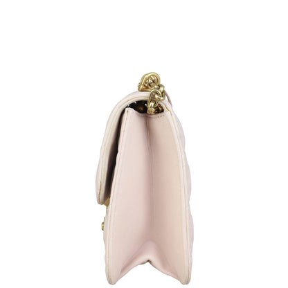 Dior Dioraddict Medium Flap Bag