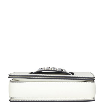 Dior Dio(r)evolution Flap Bag