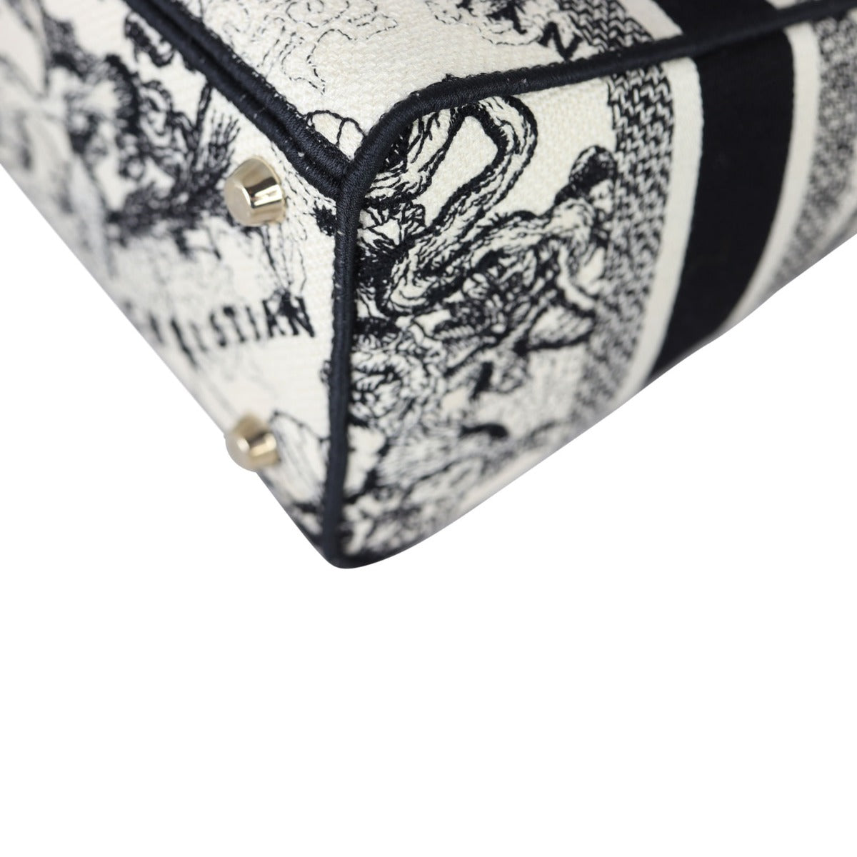 Dior Lady D-Lite Medium Toile de Jouy Zodiac