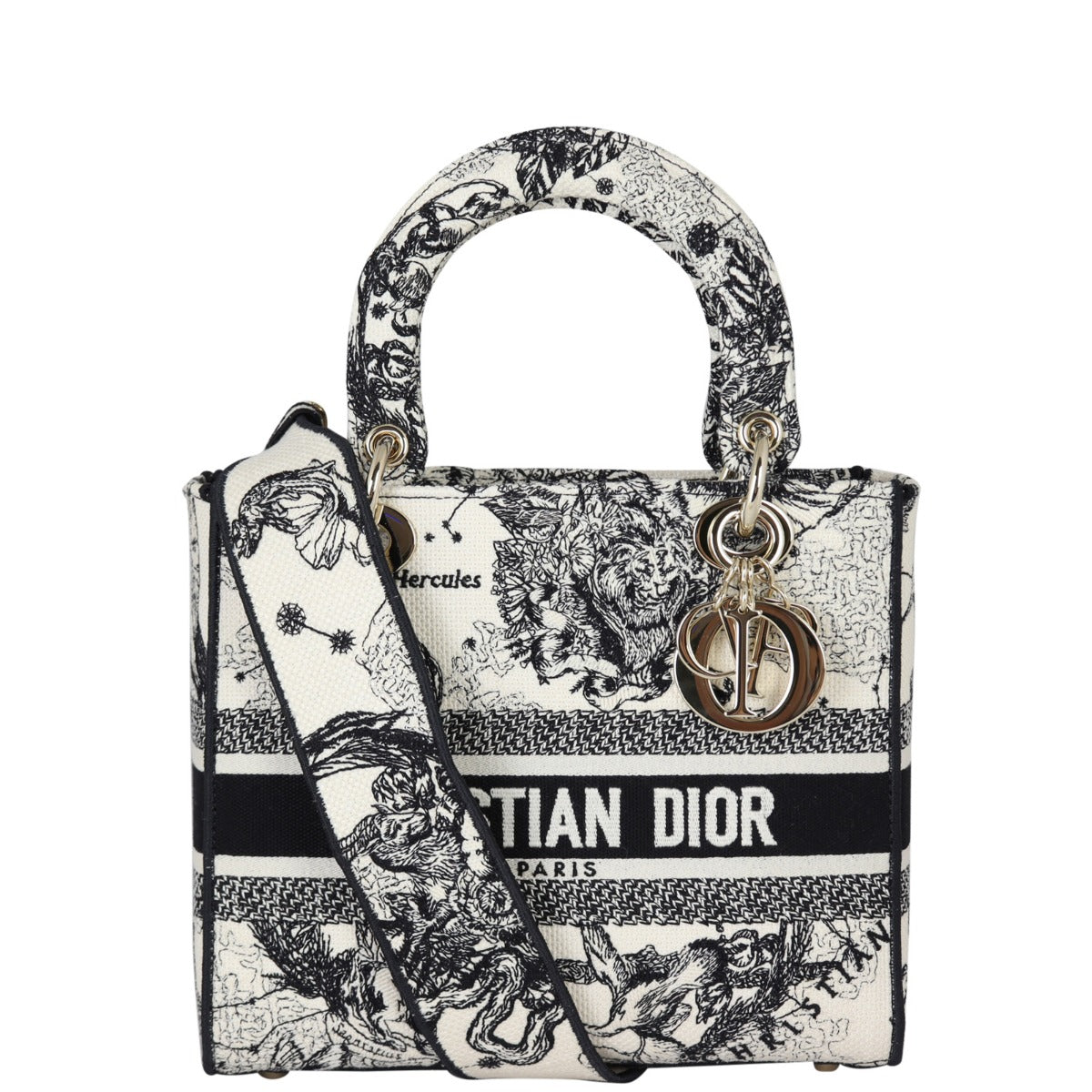 Dior Lady D-Lite Medium Toile de Jouy Zodiac