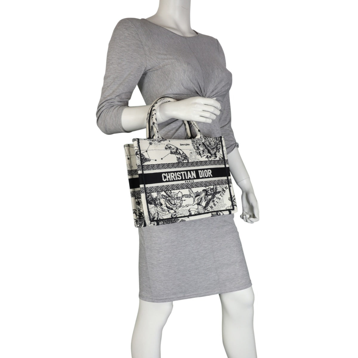Dior Book Tote Small Toile de Jouy Zodiac