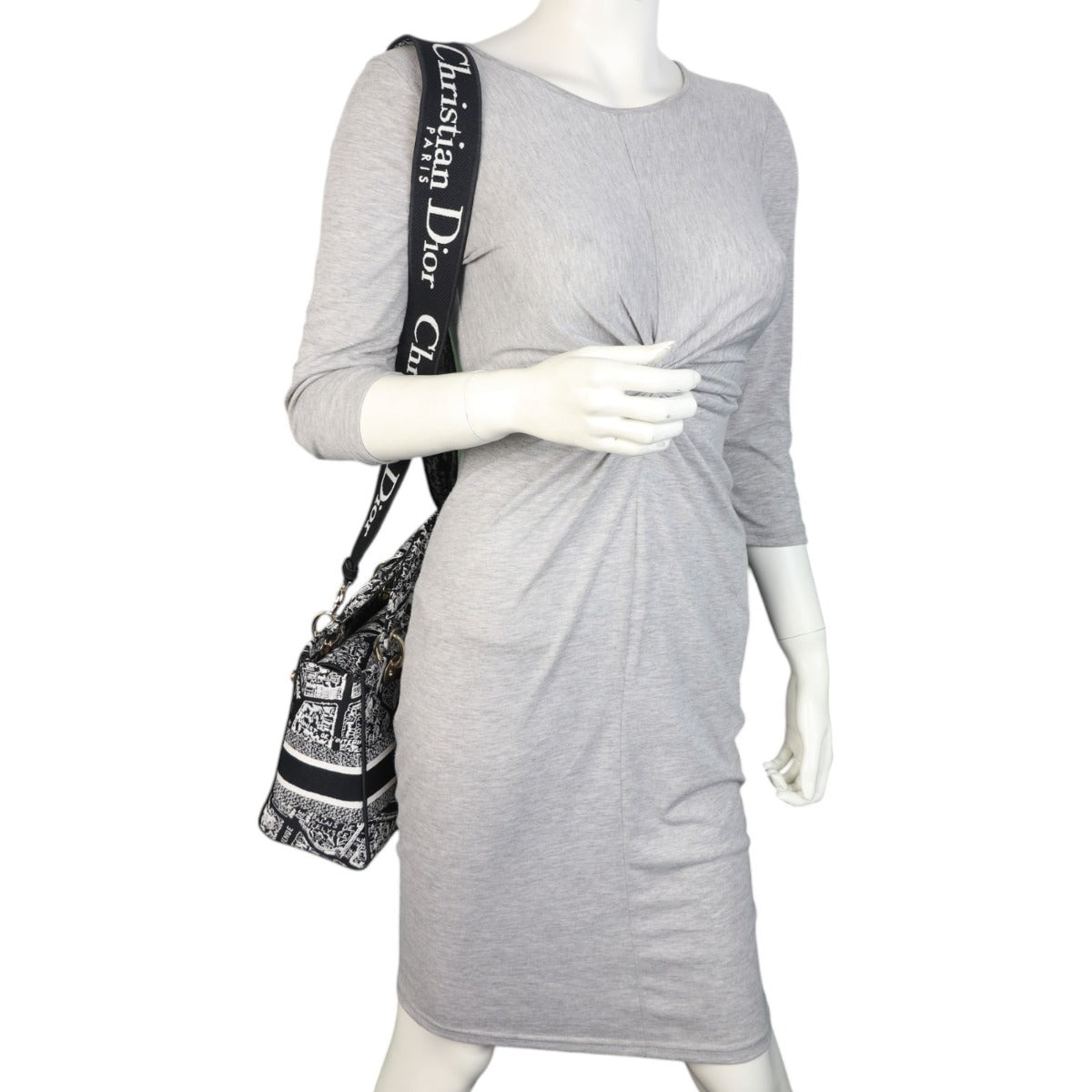 Dior Lady D-Lite Medium Plan de Paris