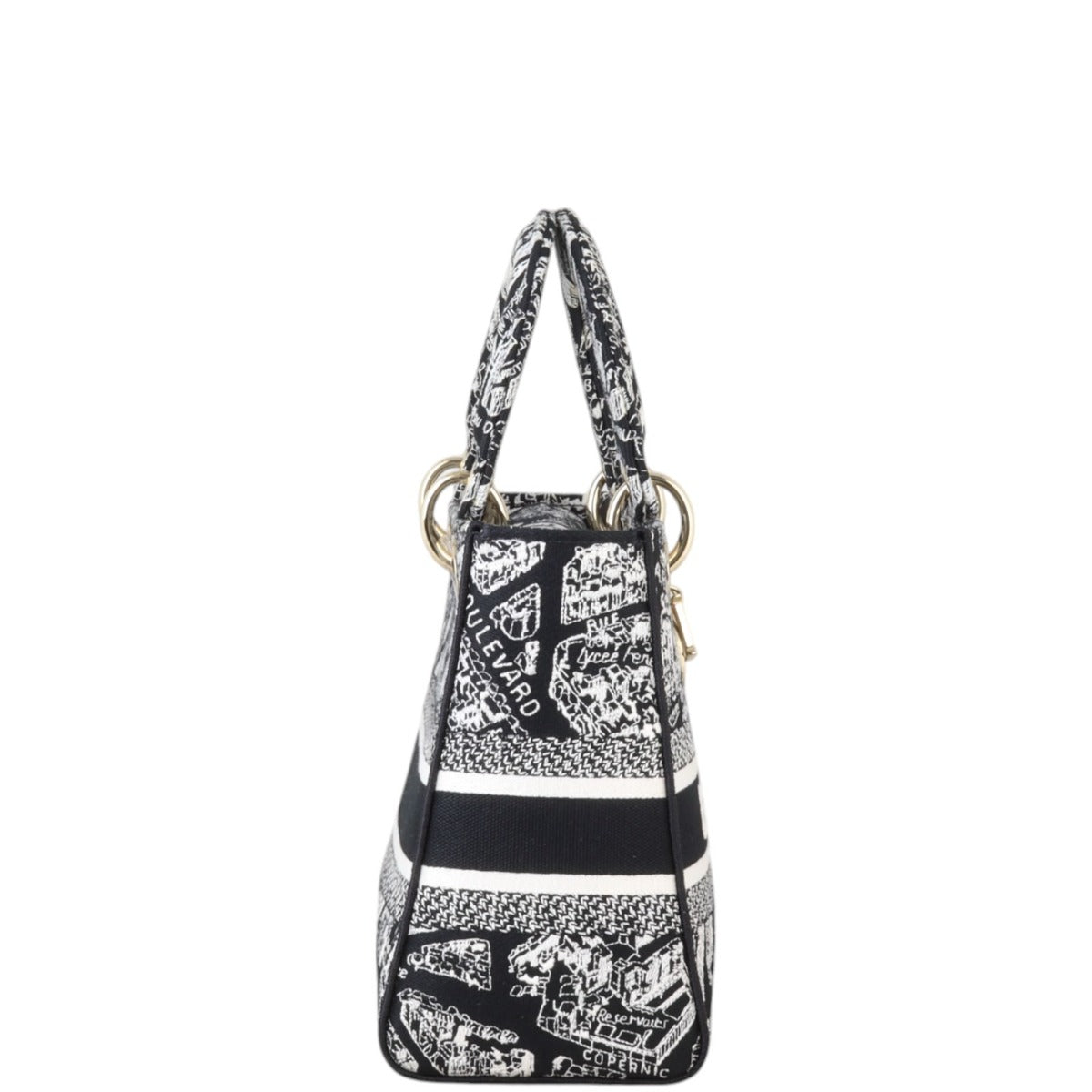 Dior Lady D-Lite Medium Plan de Paris