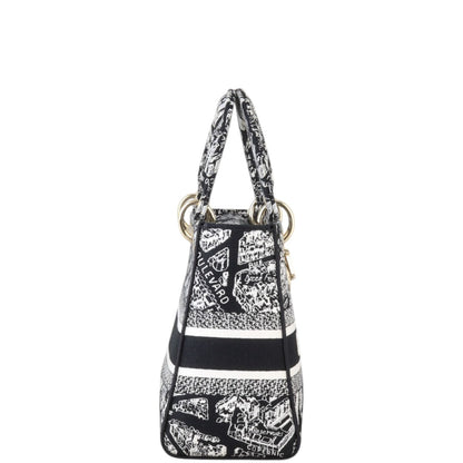 Dior Lady D-Lite Medium Plan de Paris