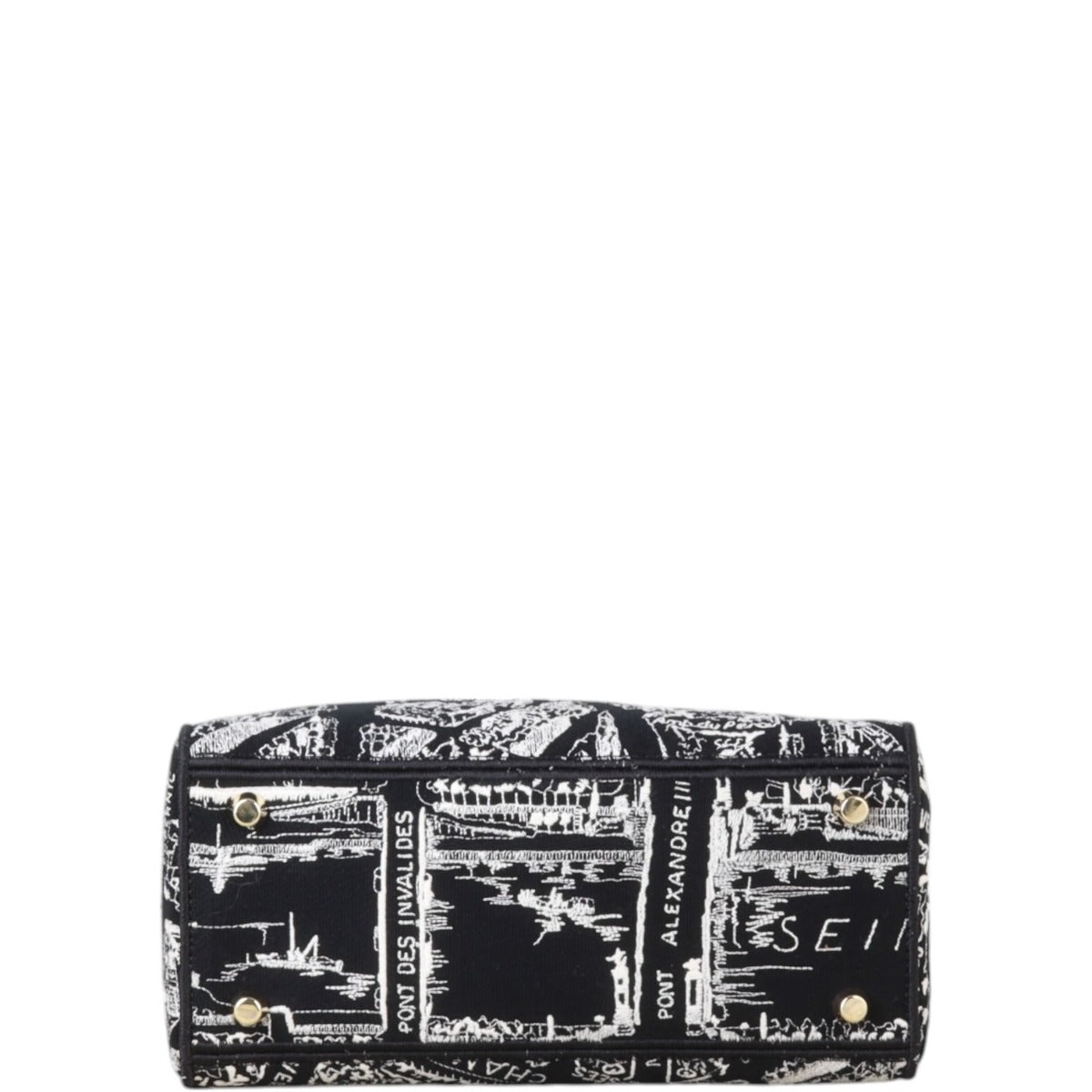 Dior Lady D-Lite Medium Plan de Paris
