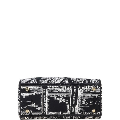 Dior Lady D-Lite Medium Plan de Paris