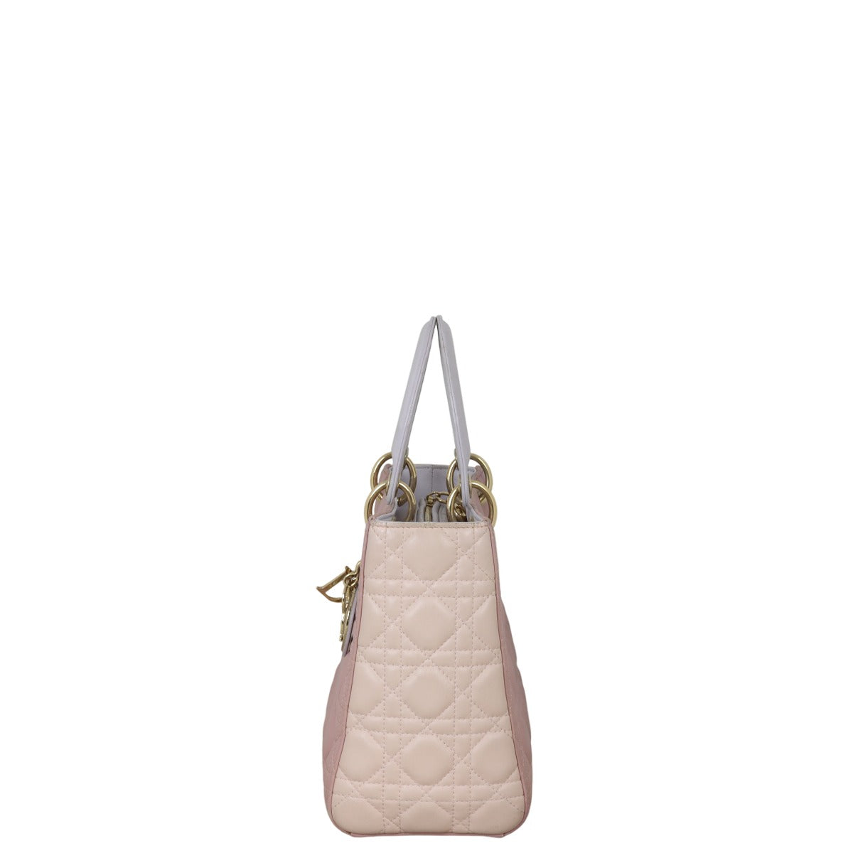 Dior Lady Dior Medium Tricolour