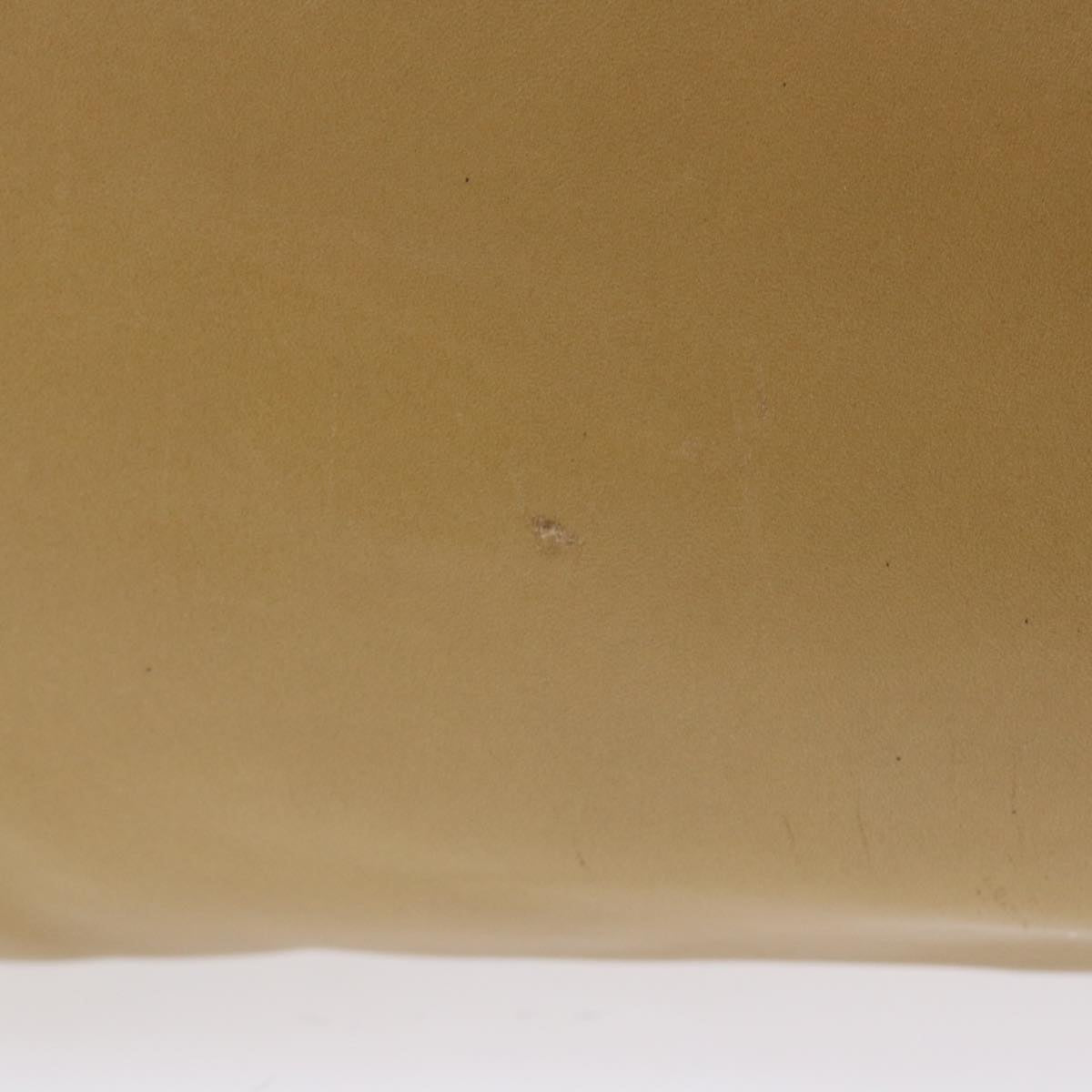 Luxury CELINE Shoulder Bag Leather Beige  ep1109