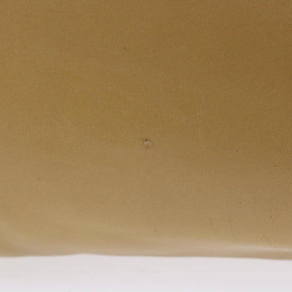 Luxury CELINE Shoulder Bag Leather Beige  ep1109