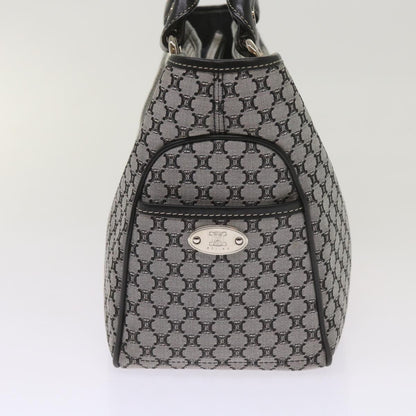 Luxury CELINE Macadam Canvas Hand Bag Gray  ep3314