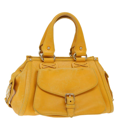 Luxury CELINE Hand Bag Leather Yellow  fm3342