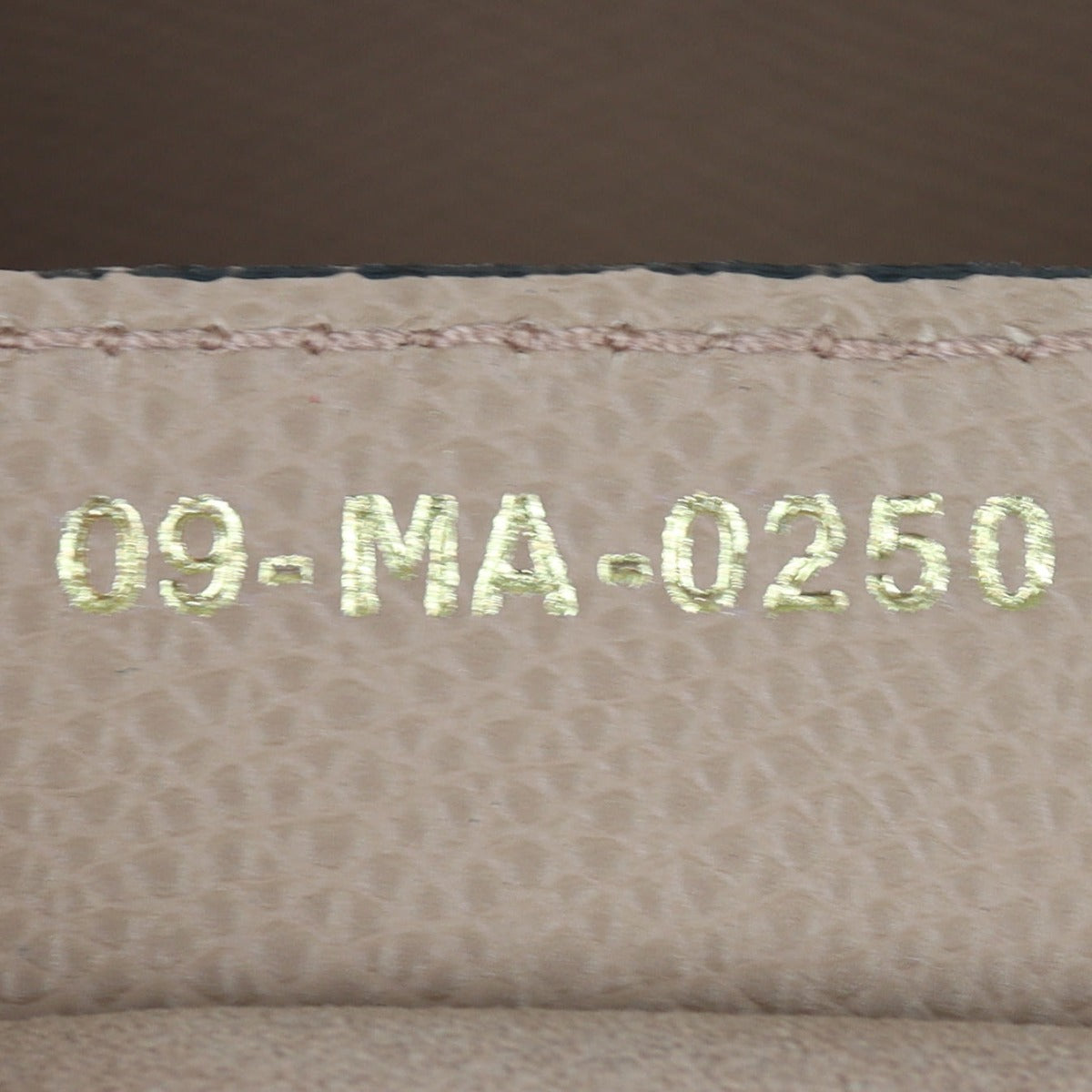 Dior Saddle Bag with Embroidered Strap