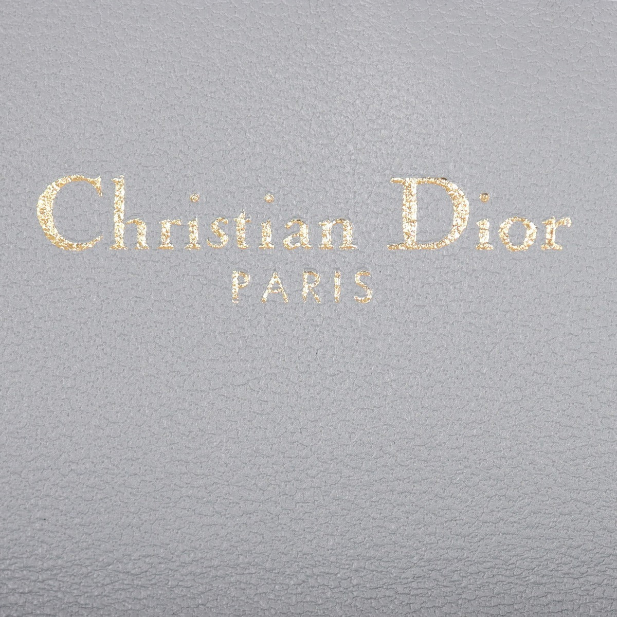 Dior Saddle Pouch Nano