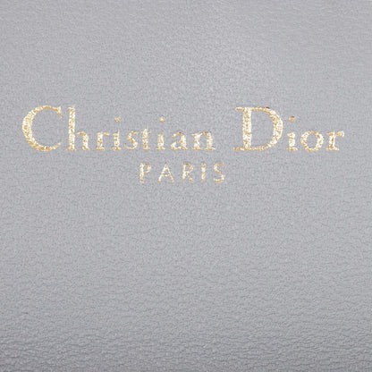 Dior Saddle Pouch Nano