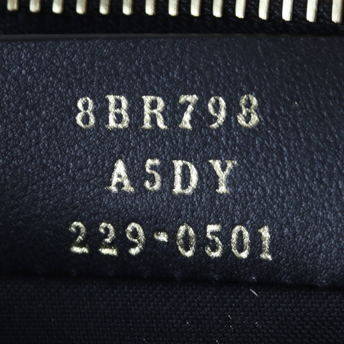 Fendi Fendigraphy Small