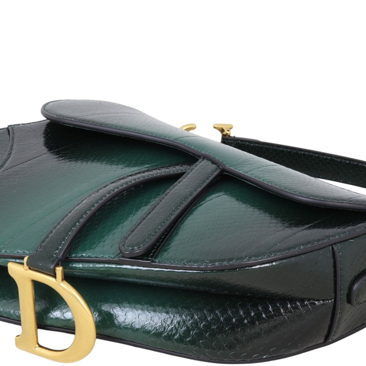 Dior Saddle Bag Python