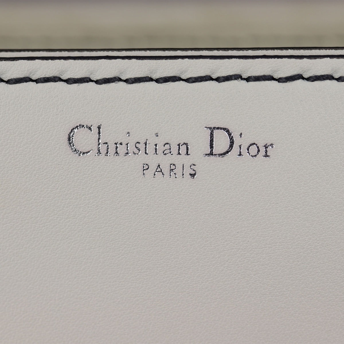 Dior Dio(r)evolution Flap Bag