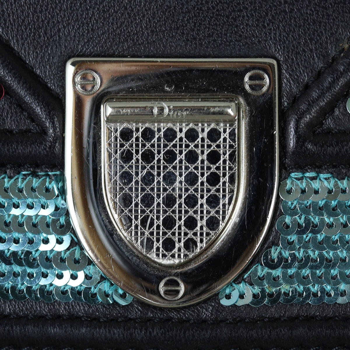 Dior Diorama Baby Pouch Sequin