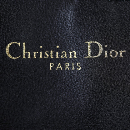 Dior Saddle Pouch Nano
