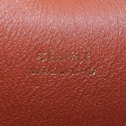 Celine Mini Belt Bag Python