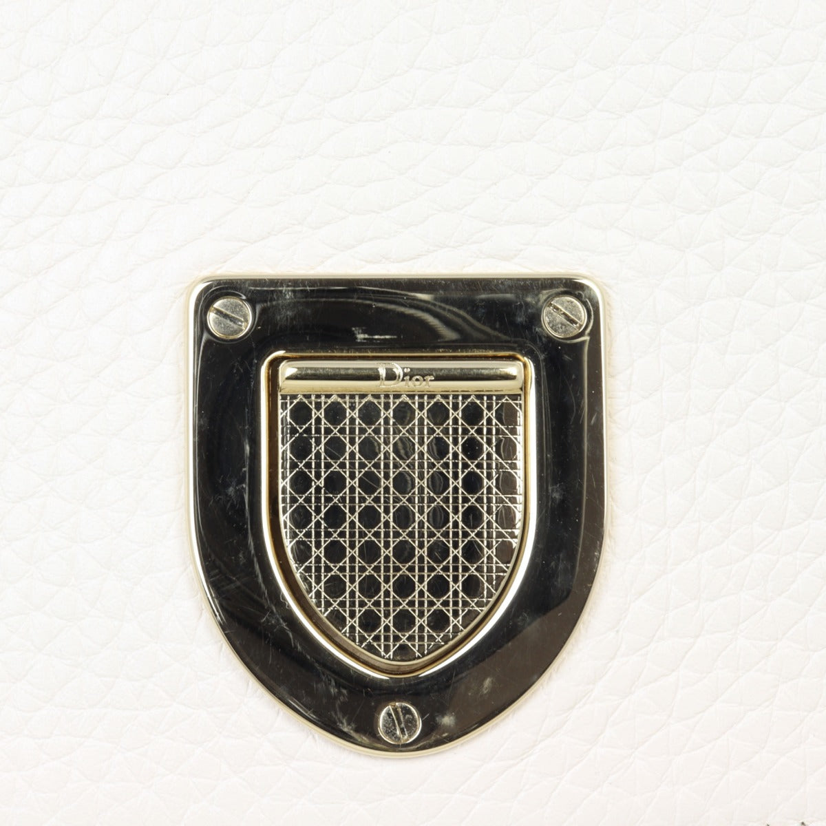 Dior Diorever Medium Satchel Python