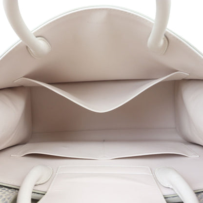 Dior Diorever Medium Satchel Python