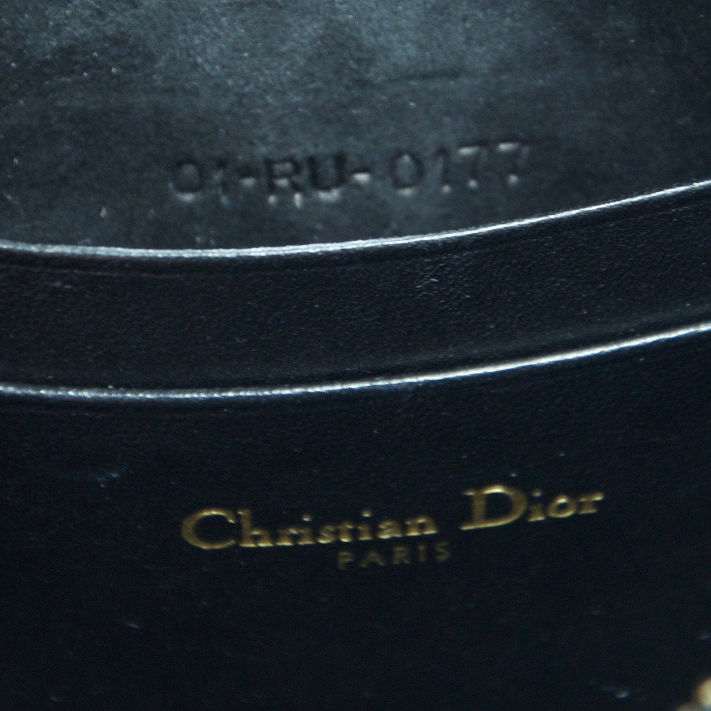 Lady Dior Camera Case Clutch