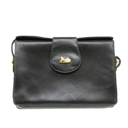 Luxury CELINE Horse Carriage Shoulder Bag Black Leather  rd764