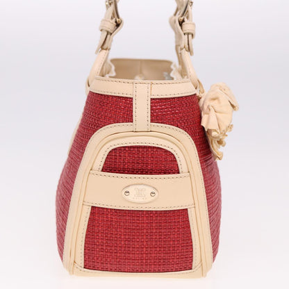 Luxury CELINE Boogie bag Hand Bag Straw Red 13094
